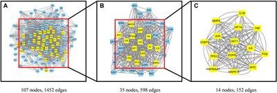The mechanism of Leonuri Herba in improving polycystic ovary syndrome was analyzed based on network pharmacology and molecular docking